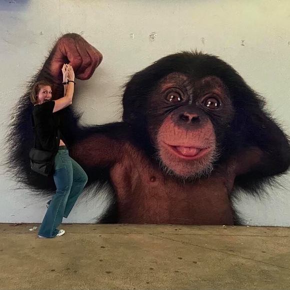 Meet your Posher, Chelsea - Picture 1 of 1